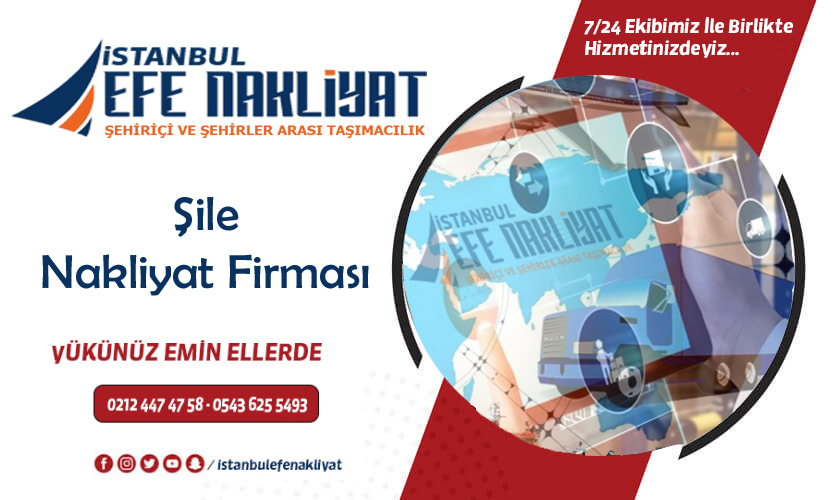 Şile Nakliyat Firması